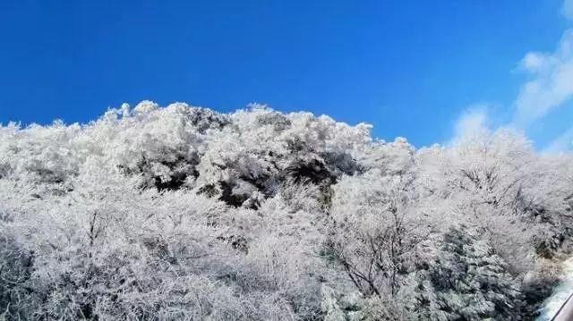 江西省分宜县发布暴雪橙色预警