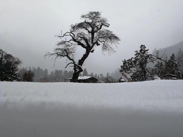 浏阳葛家镇:“消”火患 “防”风险 守好年节“安全关”