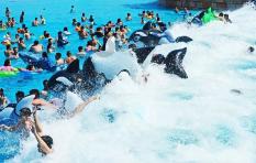 玩具小伙伴的探险之旅,《蛋仔派对》全新赛季即将开启