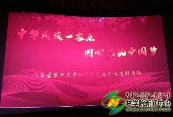 现代女孩的衣柜