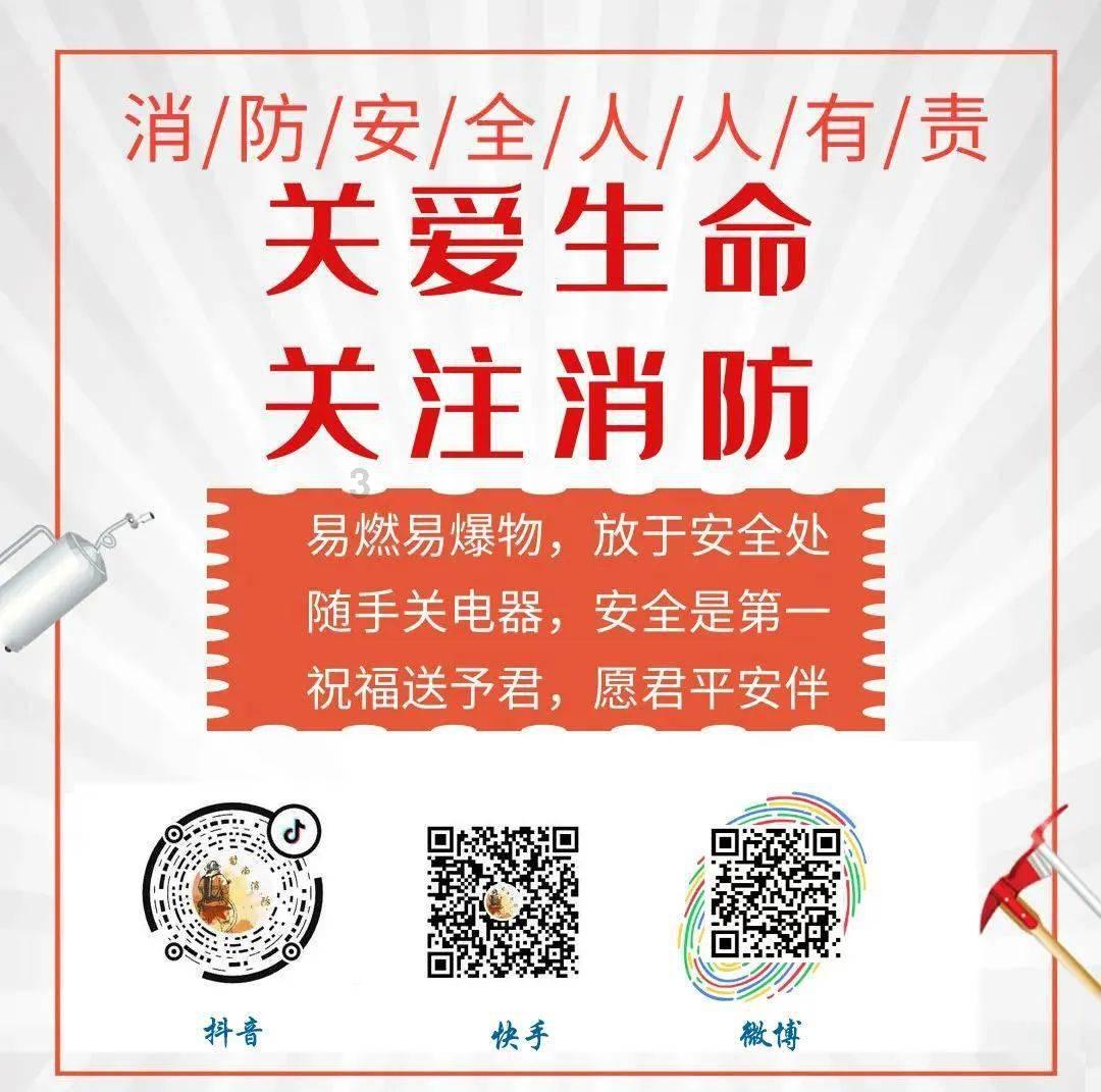 植物大战僵尸6