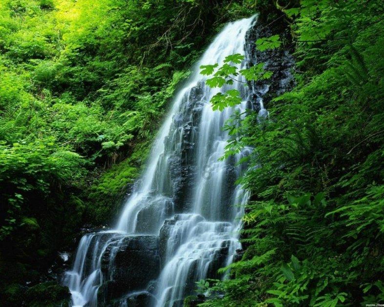 梦幻西游手游