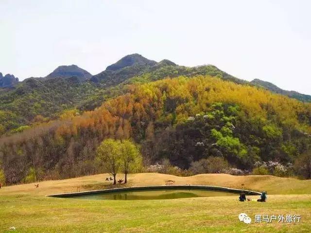 动物帮帮忙保卫家园